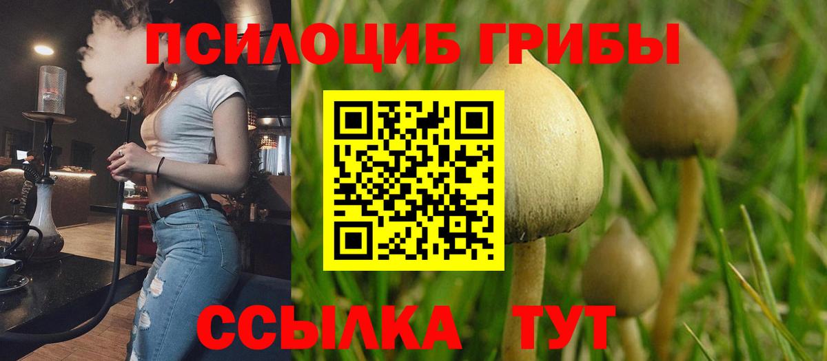 Галлюциногенные грибы мицелий Старая Купавна
