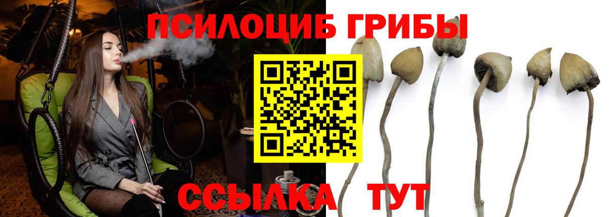 Галлюциногенные грибы MAGIC MUSHROOMS  Галлюциногенные грибы Magic Shrooms  Старая Купавна  Вход с VPN 